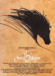 El corcel negro - Carroll Ballard (1979)